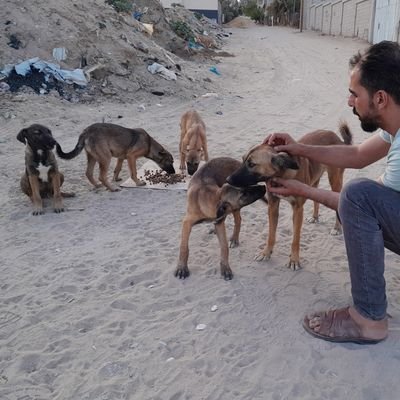 💞💖Mohamed mosa😽MO🐾's profile picture
