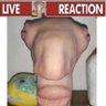 Bleach's profile picture