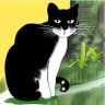 Kedi Fe #bist 的头像
