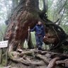 タナカ 的头像