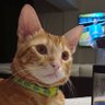 Evy😻 profil fotoğrafı