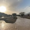 Фото профиля برق الدماس