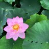 Фото профиля みきぴ