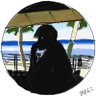 Profilbild von Masa da Oldskooler