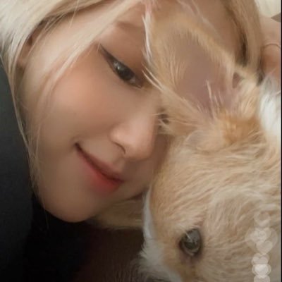 Captén?'s profile picture