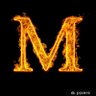 Miami's profile picture