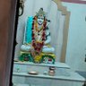 Priya Mishra's profile picture