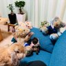 Фото профиля テディベアとの生活