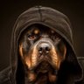 bullet profil fotoฤrafฤฑ