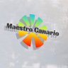 🇮🇨Maestro Canario🇮🇨 的头像