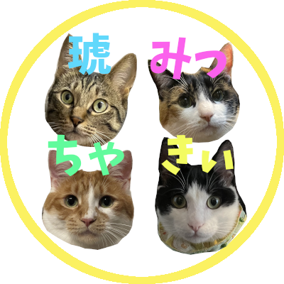 masa_chal's profile picture