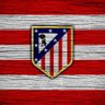 Miguel Verdejo's profile picture