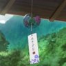 あさがお's profile picture