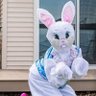 Easter Bunny profil fotoğrafı