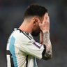 zezo's profile picture