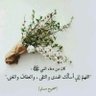 Profilbild von Ahmed khalaf