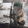 Николаи Кравченку 的头像