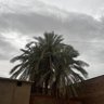 Фото профиля عبدالرحمن محمد