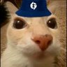 Josè Delgado's profile picture