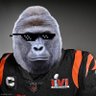 Фото профиля Harambe Burrow