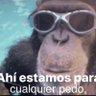 PedroBici45's profile picture