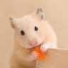 くう's profile picture