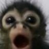 Profilbild von Joel