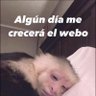 Junior Calderon 的头像