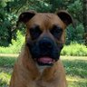 Hangtooth's profile picture