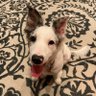 Фото профиля Iluvmywife