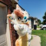 Profilbild von Adrian Fox Dog - ANW