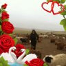 Мадаам🌍🙏🇲🇳 的头像