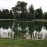 Фото профиля rakunikki