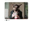 kooky German Shepherd's profile picture