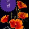 Saghir Ahmad Shamsi's profile picture