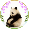 mattsu profil fotoğrafı