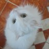 samiraeldaly profil fotoğrafı