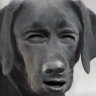 Michael Billingsworth's profile picture