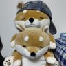 Profilbild von 流れ人🦥🐶♥️