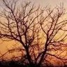 昨晚是我 profil fotoğrafı