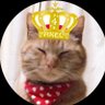 ブリオ profil fotoğrafı