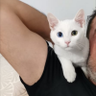 selahattin begtaş profil fotoğrafı