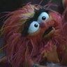 Mike Cilly's profile picture