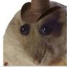 RATS IN MY EYES!! 的头像