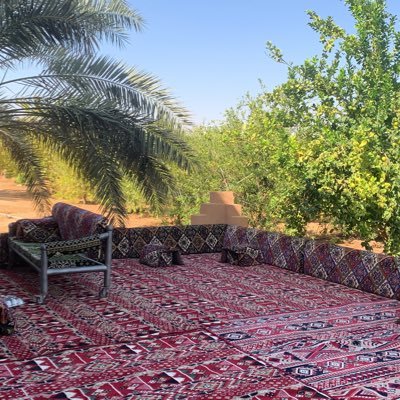 ابو فيصل ١٢'s profile picture