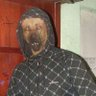 Paco Aguilar's profile picture