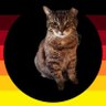 mycatandme 的头像