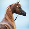 Profilbild von Noor