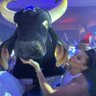 surara do beiradão 💙⭐️ profil fotoğrafı