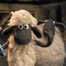 I am a sheep profil fotoğrafı